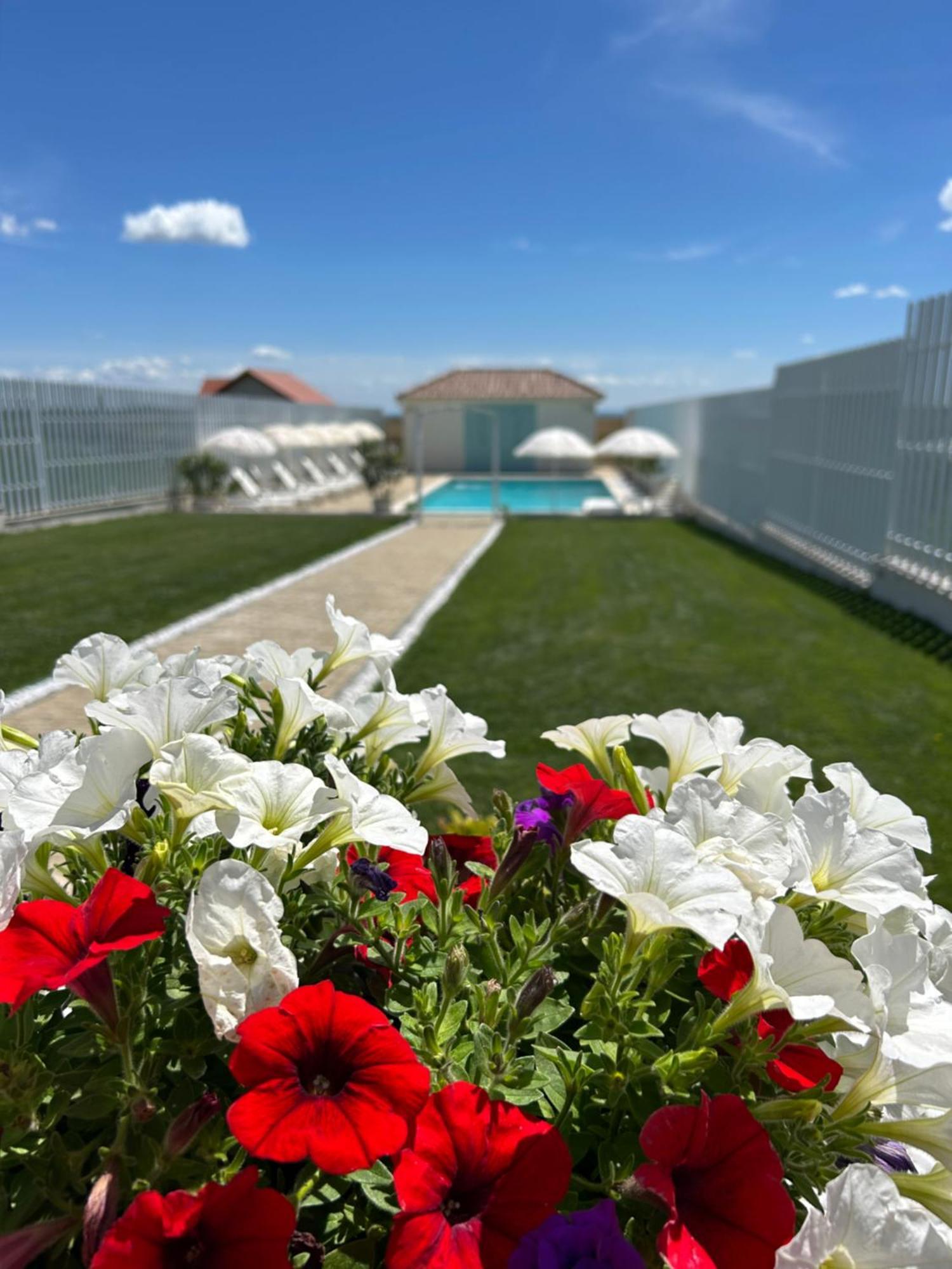 Alma Rezidence Bed & Breakfast Turda Exterior foto