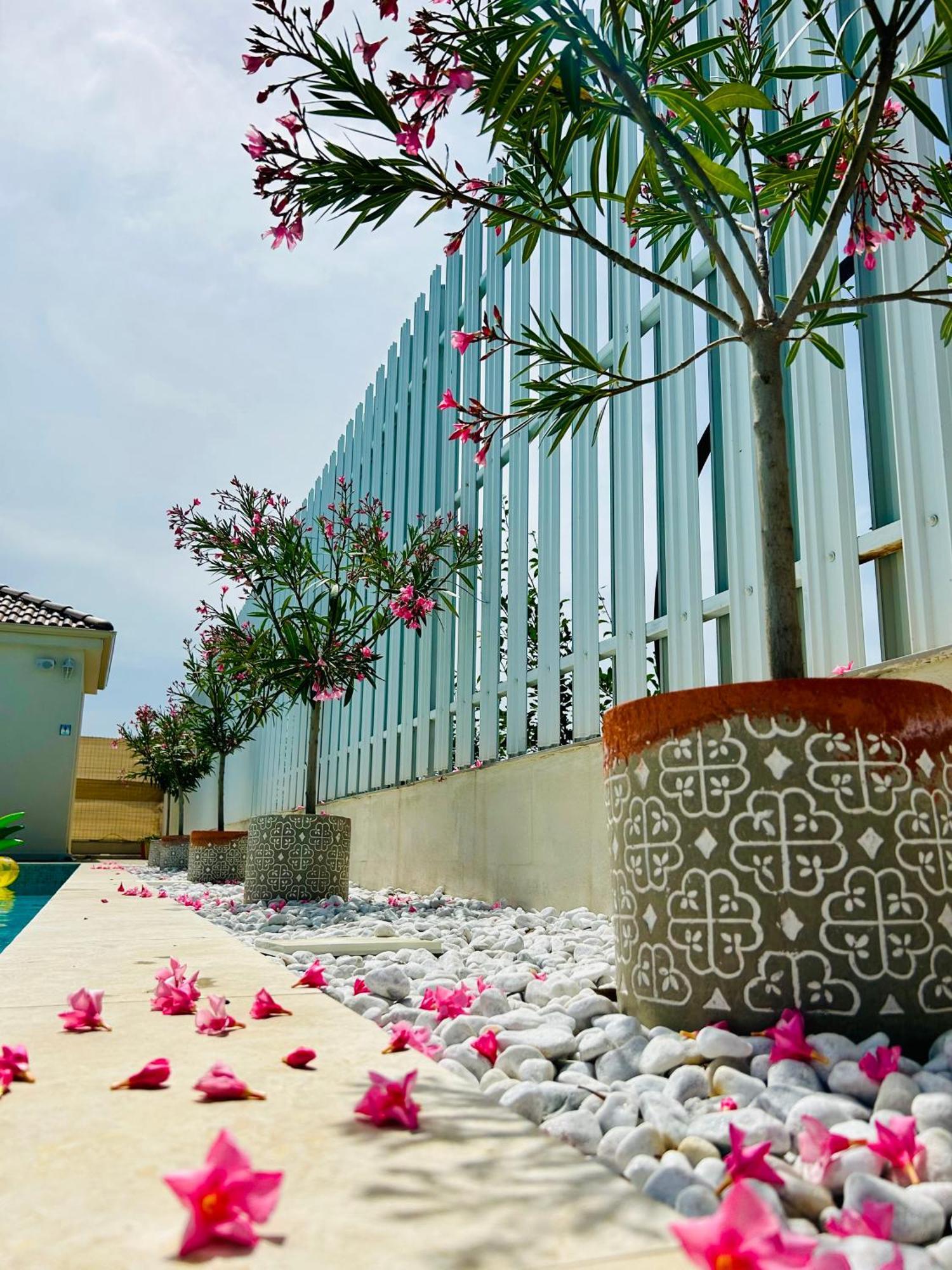 Alma Rezidence Bed & Breakfast Turda Exterior foto